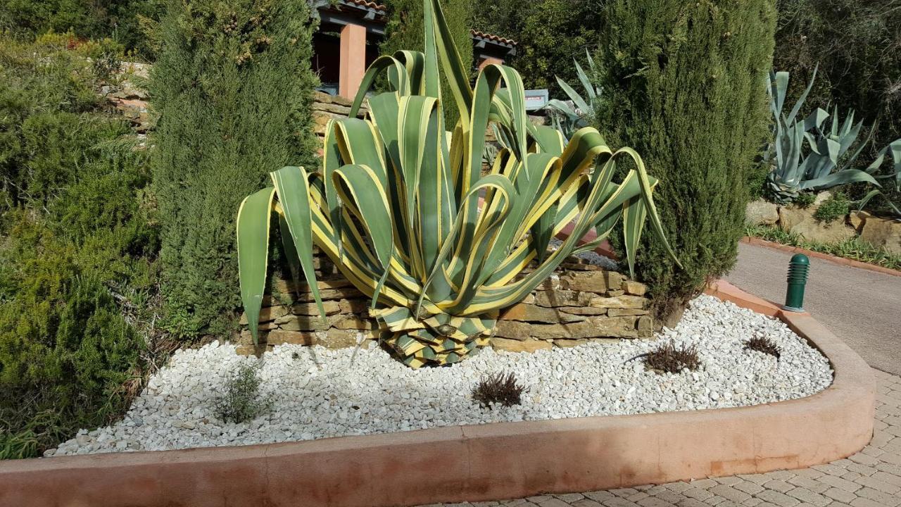 La Maison Du Castellet 르카스틀레 외부 사진